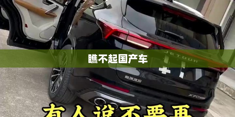 瞧不起国产车