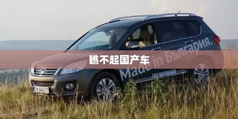 瞧不起国产车