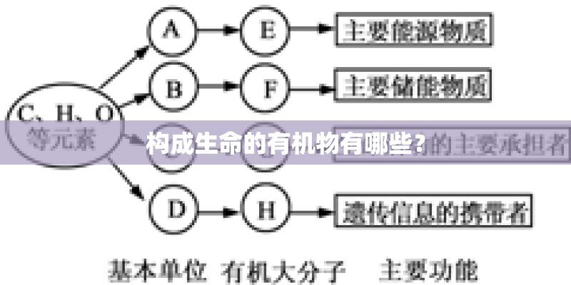 构成生命的有机物有哪些？