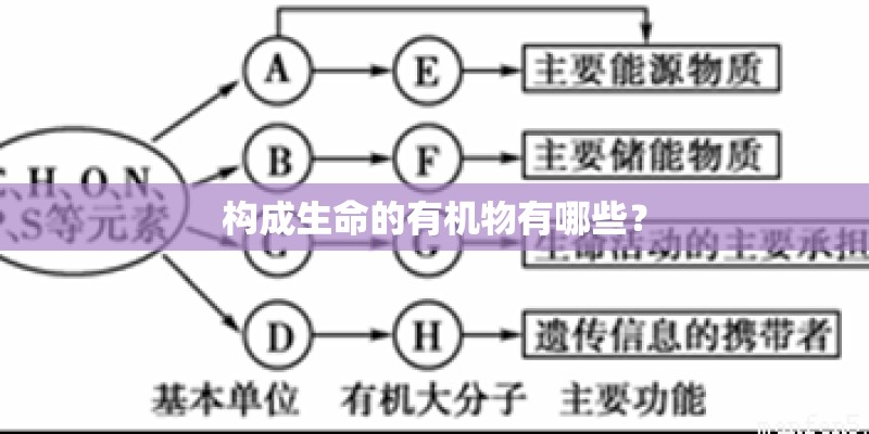 构成生命的有机物有哪些？