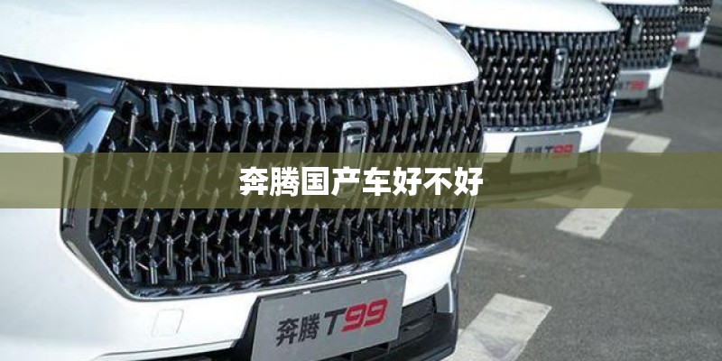 奔腾国产车好不好 奔腾国产车好不好