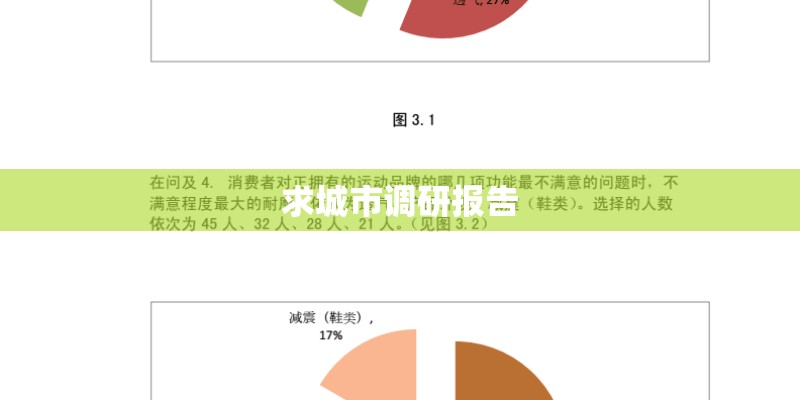 求城市调研报告
