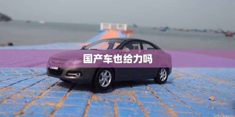 国产车也给力吗
