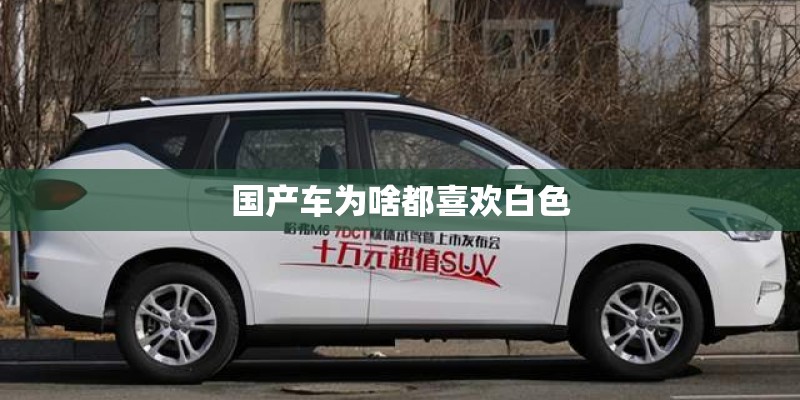 国产车为啥都喜欢白色