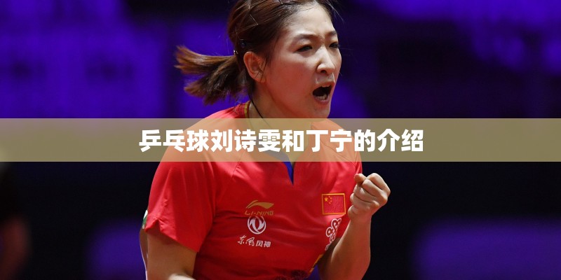 乒乓球刘诗雯和丁宁的介绍