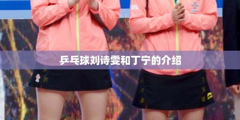 乒乓球刘诗雯和丁宁的介绍