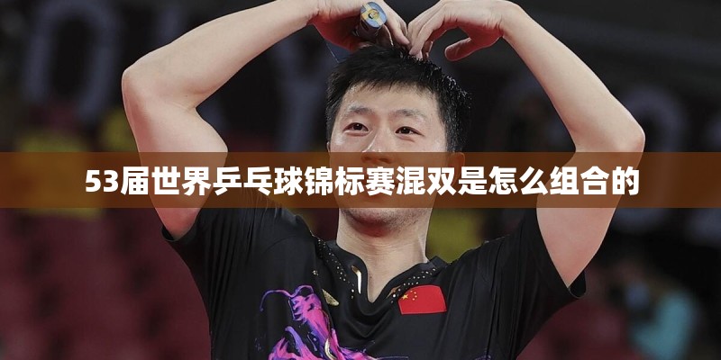 53届世界乒乓球锦标赛混双是怎么组合的 53届世界乒乓球锦标赛混双是怎么组合的