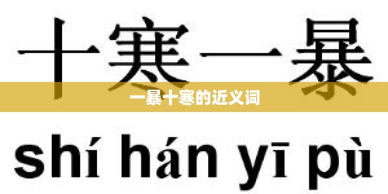 一暴十寒的近义词