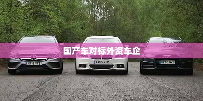 国产车对标外资车企