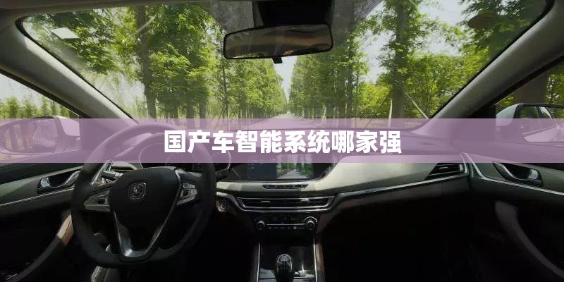 国产车智能系统哪家强