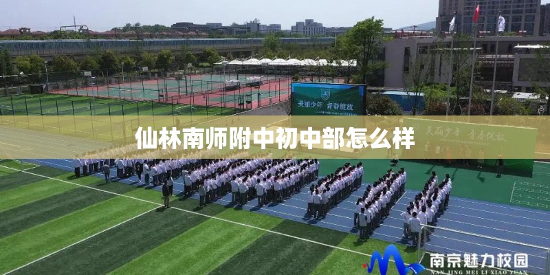 仙林南师附中初中部怎么样