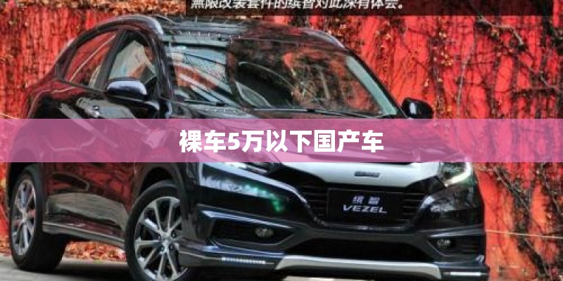 裸车5万以下国产车