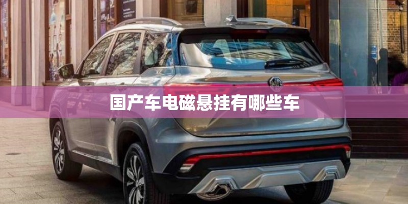 国产车电磁悬挂有哪些车