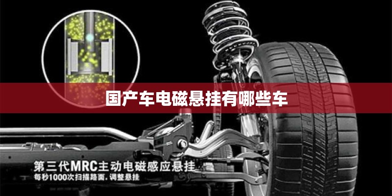国产车电磁悬挂有哪些车