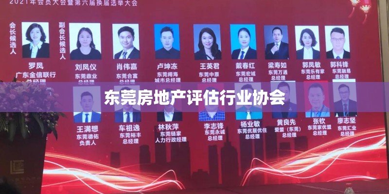 东莞房地产评估行业协会