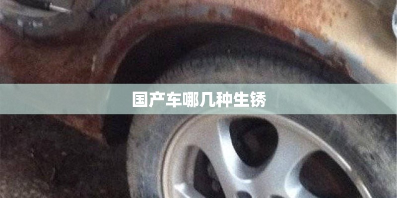 国产车哪几种生锈 国产车哪几种生锈