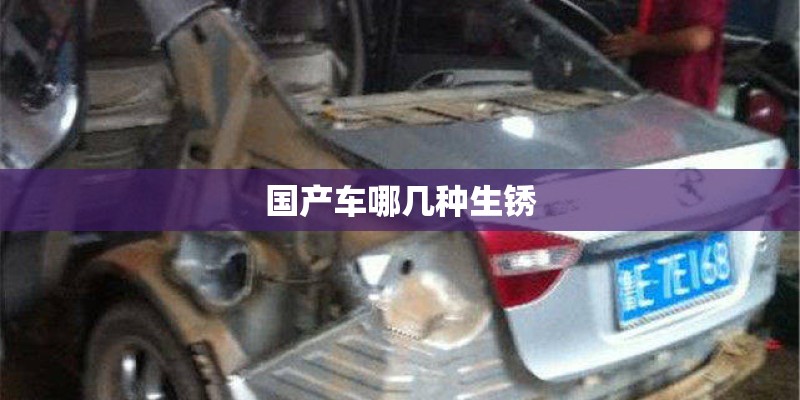 国产车哪几种生锈 国产车哪几种生锈