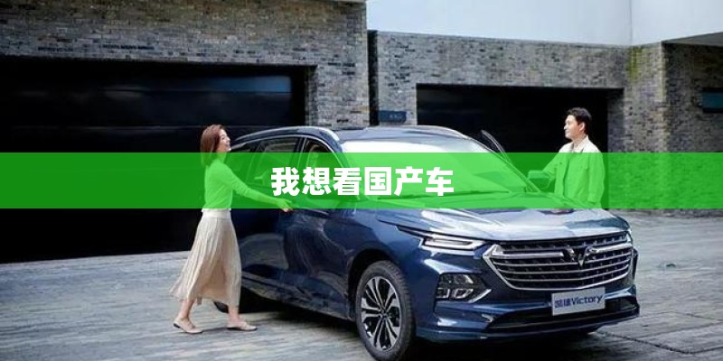我想看国产车