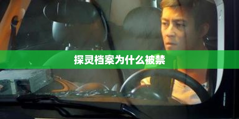 探灵档案为什么被禁