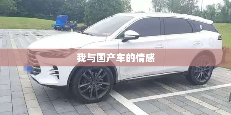 我与国产车的情感