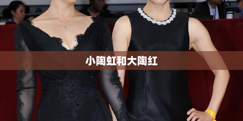 小陶虹和大陶红