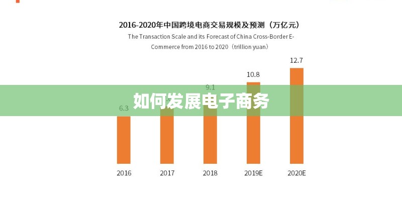 如何发展电子商务