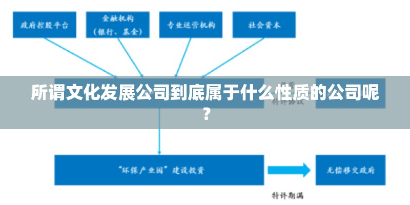 所谓文化发展公司到底属于什么性质的公司呢？