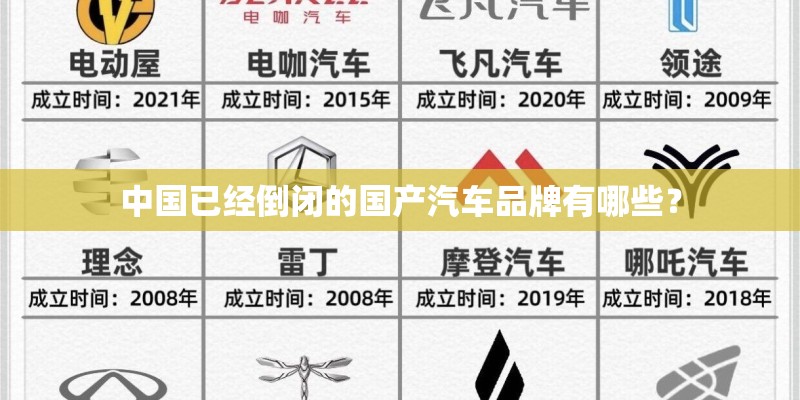 宿舍适合养什么植物好