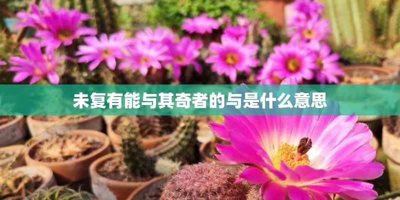 未复有能与其奇者的与是什么意思 未复有能与其奇者的与是什么意思