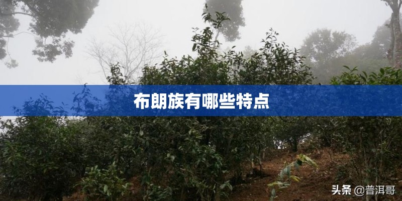 布朗族有哪些特点 布朗族有哪些特点