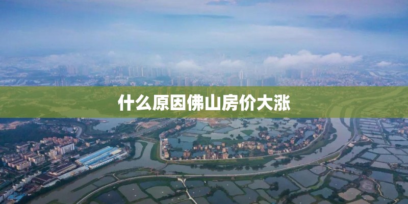 什么原因佛山房价大涨 什么原因佛山房价大涨