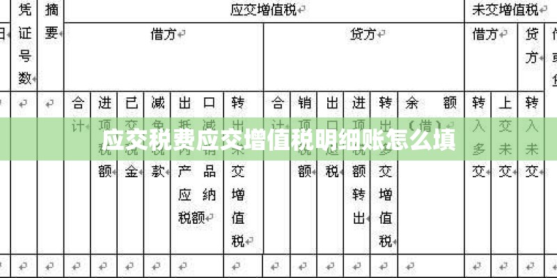 应交税费应交增值税明细账怎么填 应交税费应交增值税明细账怎么填