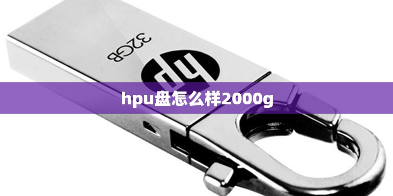 hpu盘怎么样2000g hpu盘怎么样2000g