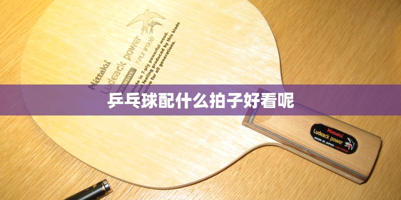 乒乓球配什么拍子好看呢