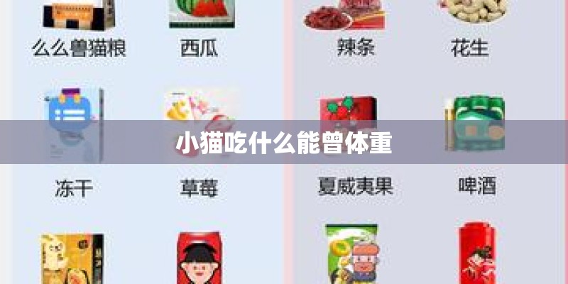 小猫吃什么能曾体重