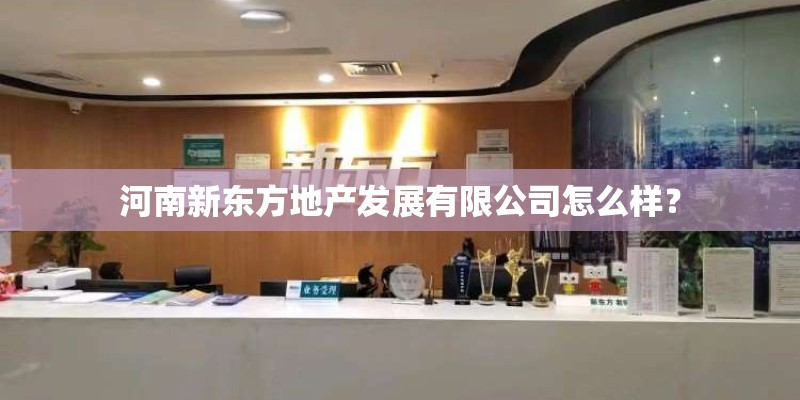 河南新东方地产发展有限公司怎么样？