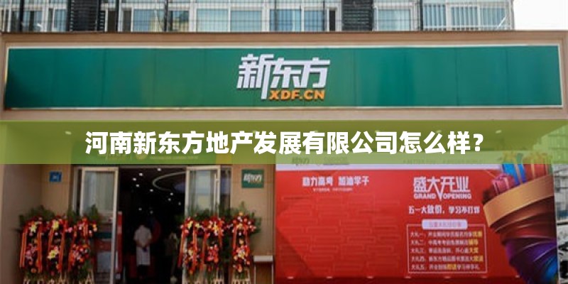 河南新东方地产发展有限公司怎么样？