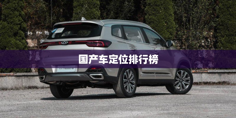 国产车定位排行榜 国产车定位排行榜