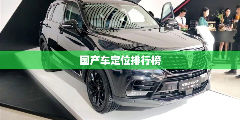 国产车定位排行榜 国产车定位排行榜