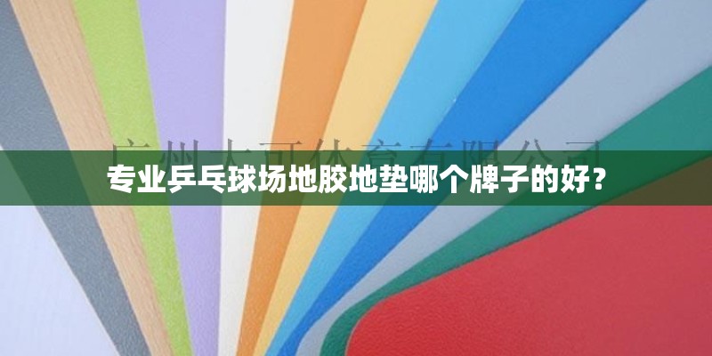 专业乒乓球场地胶地垫哪个牌子的好? 专业乒乓球场地胶地垫哪个牌子的好?