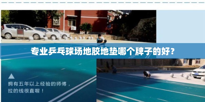 专业乒乓球场地胶地垫哪个牌子的好? 专业乒乓球场地胶地垫哪个牌子的好?