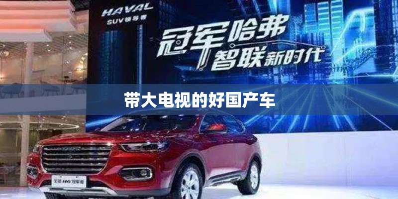 带大电视的好国产车 带大电视的好国产车