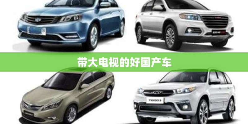 带大电视的好国产车 带大电视的好国产车