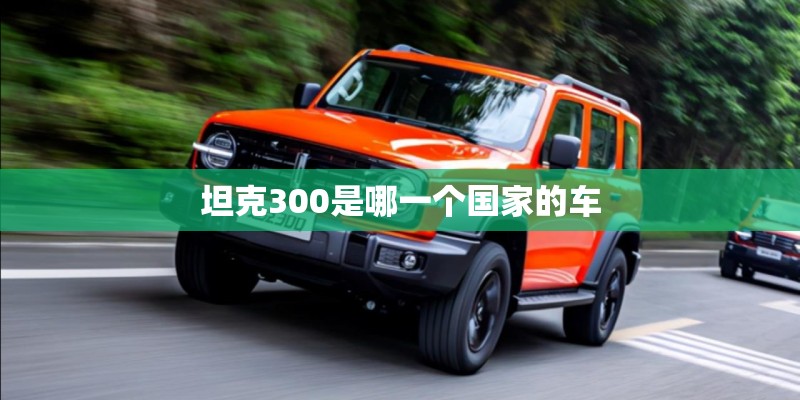 坦克300是哪一个国家的车