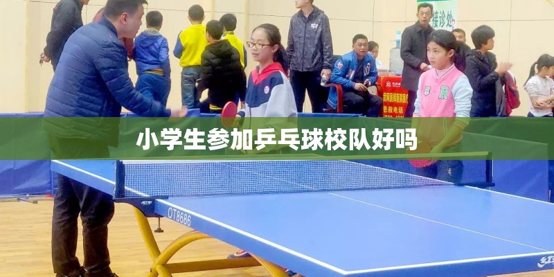 小学生参加乒乓球校队好吗