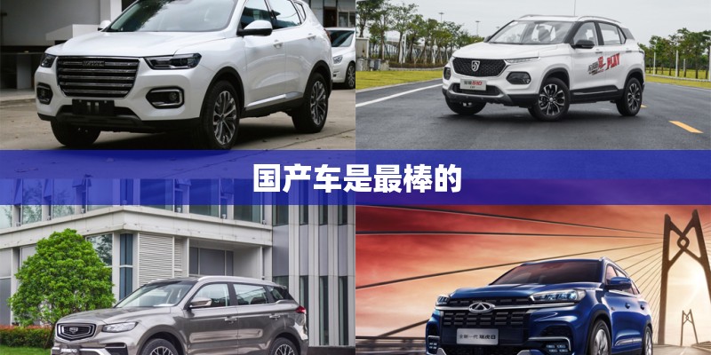 国产车是最棒的