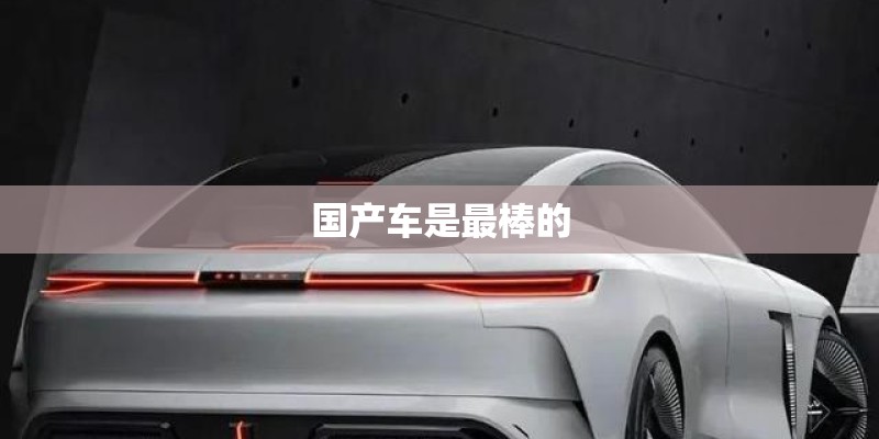 国产车是最棒的
