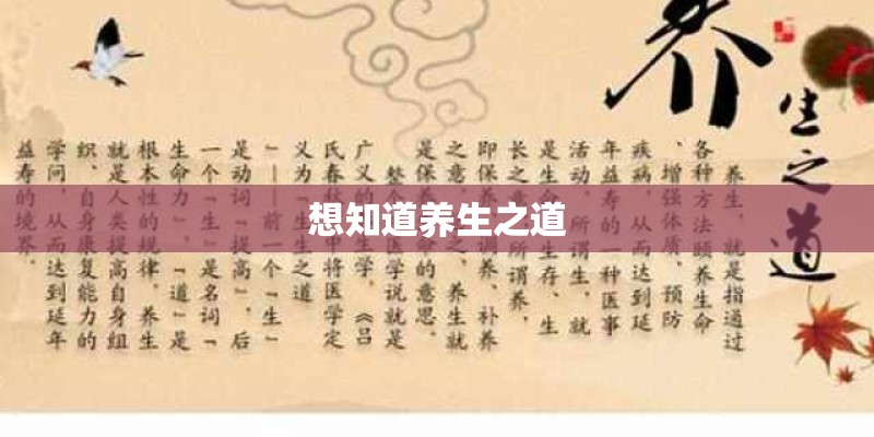 想知道养生之道
