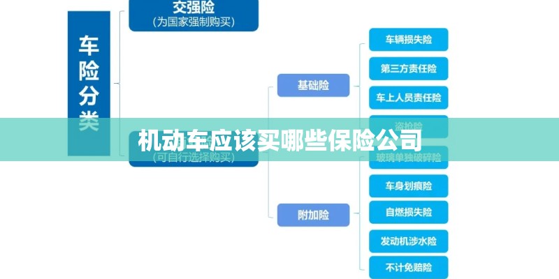 机动车应该买哪些保险公司 机动车应该买哪些保险公司