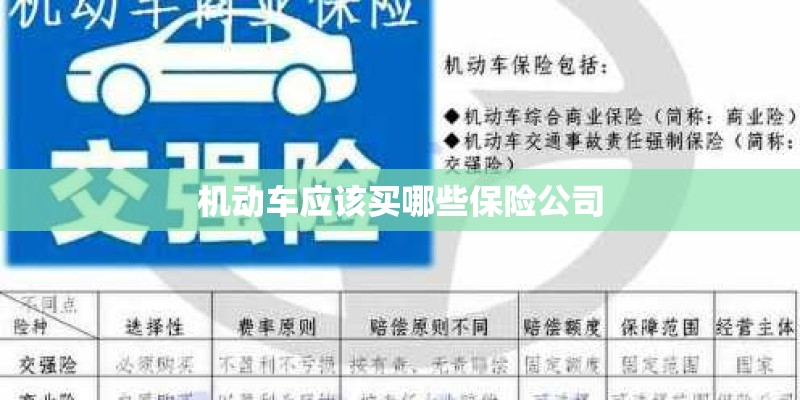 机动车应该买哪些保险公司 机动车应该买哪些保险公司
